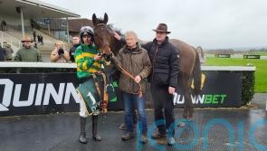 Harvard Guy too smart in Navan Listed heat