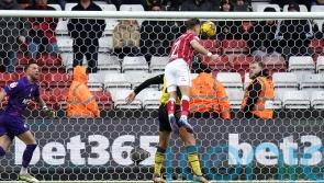 Debutant Scott Twine nets first-half equaliser as Bristol City hold Watford