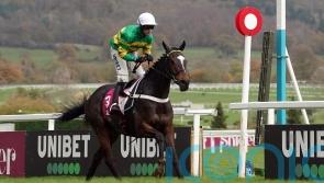 Jonbon Cheltenham bound, but Dublin beckons for El Fabiolo