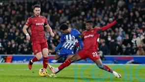 Brighton held to frustrating goalless draw by Wolves