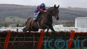 Paisley Park primed for record-breaking fourth Cleeve Hurdle
