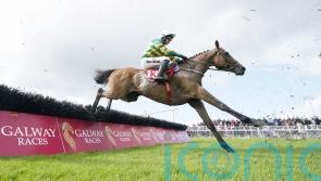 Power-packed Cheltenham novice entries revealed