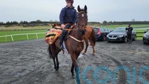 Fastorslow expected to take step forward in Irish Gold Cup