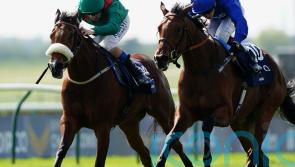 Murphy excited to renew Mawj partnership at Meydan