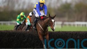 &lsquo;Brilliant&rsquo; Brides Hill completes hat-trick at Huntingdon