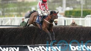 The Real Whacker puts Gold Cup hopes on the line at Cheltenham