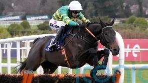 Exciting prospect No Flies On Him waiting for Punchestown