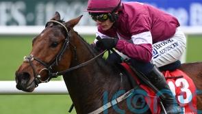 Gigginstown looking for young guns to fire