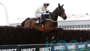 Gaelic Warrior upped in trip at DRF on Sunday