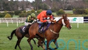 Madara team turn attention to Cheltenham glory