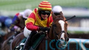 Lookaway firmly on course for Betfair Hurdle bid