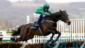 Impaire Et Passe set for Aintree after being taken out of Cheltenham engagements