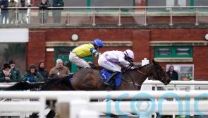 Golden Ace passes Taunton test with flying colours