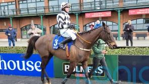Velvet Elvis calls the tune at Fairyhouse