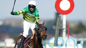Sire Du Berlais back in Boyne action