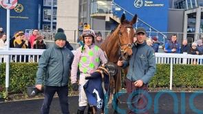 Allegorie De Vassy on the Festival path after Naas victory