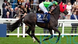 Verry Elleegant dies due to foaling complications