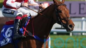 Fowler putting Colonel Mustard on Champion Hurdle case