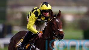 &lsquo;Very talented&rsquo; Sir Gino primed for Triumph tilt