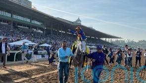 Dutrow bullish about Saudi Cup favourite White Abarrio