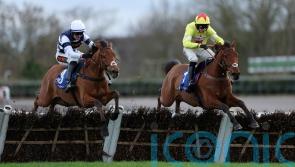 Kalif Du Berlais made to battle for Adonis honours