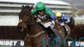 Nicholls excited by Cheltenham novice chase pair