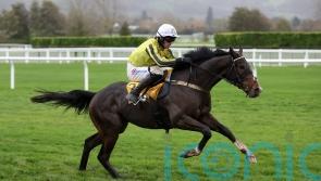 Setback scuppers Burdett Road&rsquo;s Triumph Hurdle challenge