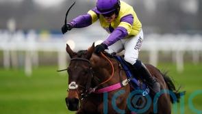 Nemean Lion heading for Champion Hurdle assignment