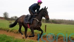 Dysart Enos delighting in countdown to Cheltenham