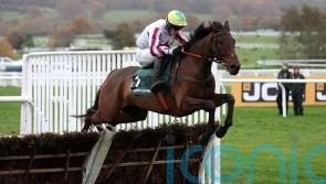 &lsquo;Horses for courses&rsquo; &ndash; Gilligan hoping Buddy can make his mark at the Festival