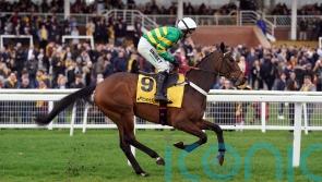 Henderson-trained Iberico Lord supplemented for Champion Hurdle