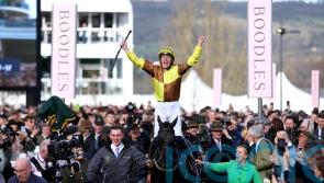 Harrington &lsquo;well aware&rsquo; of overwhelming number of Irish-trained Festival favourites