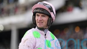 Team Mullins know how to celebrate Festival success