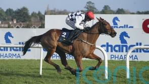 Ballyburn given Gallagher Festival target by Mullins