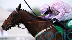 Megson backing Pauling to provide more Festival joy