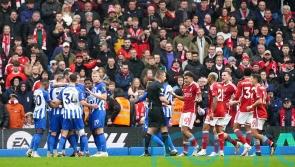 Brighton back to winning ways as Andrew Omobamidele own goal sinks Forest