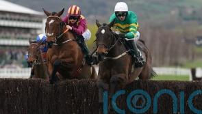 Fact To File gets the job done with minimum of fuss