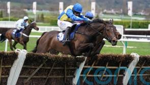 Langer Dan repeats Coral Cup victory for Skelton team