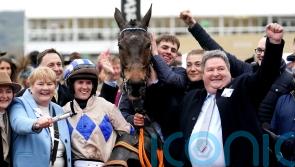 El Fabiolo&rsquo;s departure offers Cheltenham reprieve for bookmakers