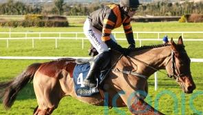 Rockett-powered Mullins contender has Irish handicapper &lsquo;shaking in his boots&rsquo;