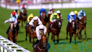 Vauban set for second bite at Melbourne Cup cherry