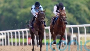 French Guineas goal for Chic Colombine