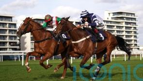 Doyen Quest delivers for Skelton team at Newbury