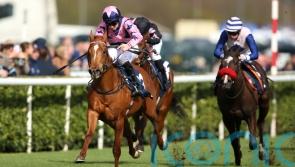 Zminiature claims big Brocklesby win for Cunha