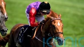 Haggas working towards Hardwicke goal with Desert Hero