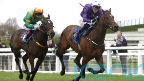 Murray plotting path to Royal Ascot with Arizona Blaze