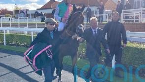 Regally-bred Kikkuli one to note in the Juddmonte ranks this year