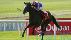 Big year for Auguste Rodin starts in Sheema Classic