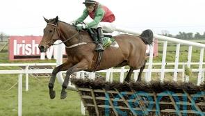 Hugely-popular hurdler Limestone Lad dies at the age of 32
