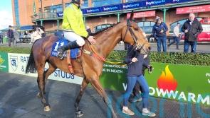 Mousey Brown springs another surprise at Fairyhouse